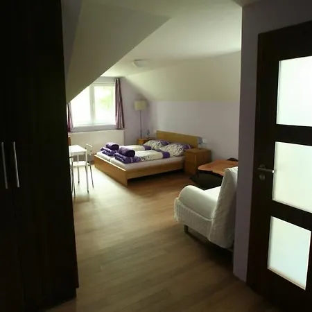 Nivy, Karlovy Vary Villa Depoltovice