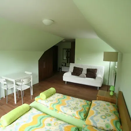 Nivy, Karlovy Vary Villa